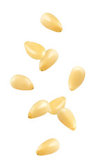 Wall Mural - falling pine nuts isolated on white background, full depth of field