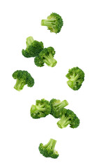 Wall Mural - falling broccoli isolated on white background, full depth of field