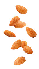 Wall Mural - falling almond isolated on white background, full depth of field