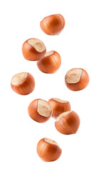 Wall Mural - Falling hazelnut isolated on white background, full depth of field
