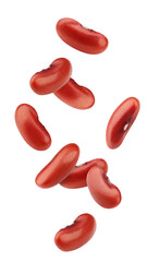 Wall Mural - Falling red kidney bean, isolated on white background, full depth of field