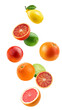 Falling citrus, mix, lemon, orange, lime, grapefruit isolated on white background, full depth of field