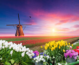 Fototapeta Tulipany - A windmill stands tall in a field of colorful flowers as the sun sets behind a backdrop of fluffy clouds, creating a picturesque natural landscape
