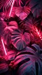 Dark tropical palm leaves and flowers with neon lighting and highlights.