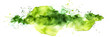 Green watercolor splash abstract design on transparent background.