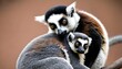 a lemur with its tail wrapped around another lemur upscaled 5