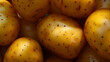 Zbliżenie na oczyszczone młode ziemniaki