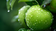 Zielone jabłka pokryte wielkimi kroplami deszczu
