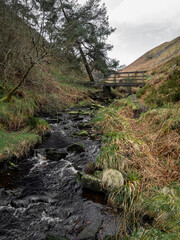 Wall Mural - Mountain river in England, dreamy scenery, moss-covered stones and beautiful waterfall in the forest. Sunny creek in spring cloudy Yorkshire evening. small cascade surrounded by moss and autumn leaves