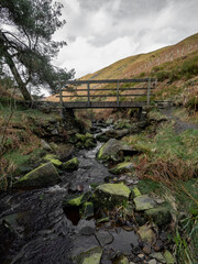 Wall Mural - Mountain river in England, dreamy scenery, moss-covered stones and beautiful waterfall in the forest. Sunny creek in spring cloudy Yorkshire evening. small cascade surrounded by moss and autumn leaves