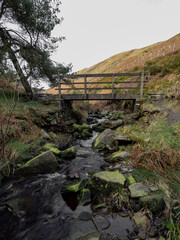 Wall Mural - Mountain river in England, dreamy scenery, moss-covered stones and beautiful waterfall in the forest. Sunny creek in spring cloudy Yorkshire evening. small cascade surrounded by moss and autumn leaves