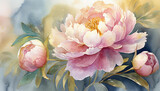 Fototapeta Kwiaty - Watercolor painting of Peony flower. Botanical hand drawn art. Beautiful floral composition.