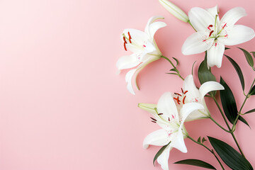  Lilies on pink background, pure, elegant floral display with copy space