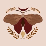 Moth butterlfy illustration card
