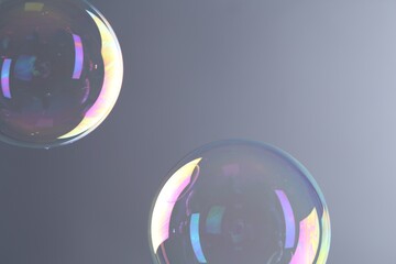 Sticker - Beautiful transparent soap bubbles on gray background