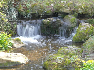 Wall Mural - Jolie cascade dans un jardin