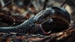 Close up of a snake with its mouth open, suitable for educational materials