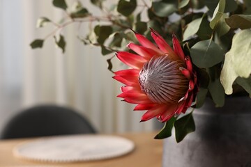 Sticker - Beautiful Protea flower and eucalyptus branches in vase on blurred background, closeup