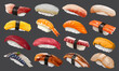 Nigiri Sushi set separated illustrations transparent background 