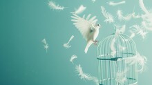 Retro Birdcage Releases White Bird Feathers Into The Pastel Blue Ether, Offering A Minimalist Vision Of Liberation