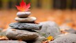 A pile of rocks arranged in a stack, with a vibrant autumn maple leaf resting