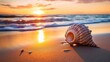 A sea shell rests on the sandy beach as the sunset