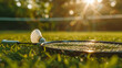Evening glow on badminton equipment on a lawn.