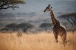 Graceful giraffe standing among African savanna