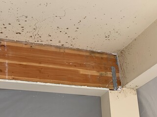 Wooden beam with mold 