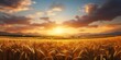 Wheat field and beautiful sunset. Nature composition. 3d render