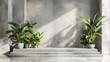 Sunlight casts shadows on plants in a modern lobby