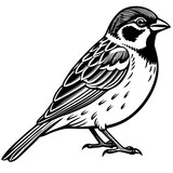 Fototapeta  - sparrow silhouette vector art illustration