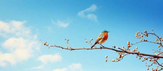 Sticker - A tiny bird is resting on a slender branch of a green tree in a peaceful natural setting