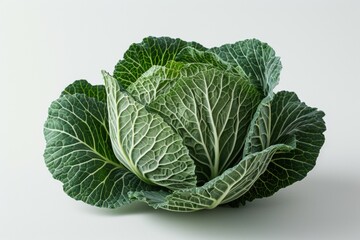 Wall Mural - A large green cabbage with many leaves