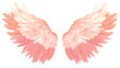 Angel wings on white illustration flat cartoon vact
