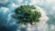 nature preservation the planet is covered with trees clouds
