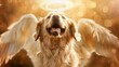 Golden Retriever with spread wings and halo - This image displays a joyful Golden Retriever with outspread wings and a halo, exuding a sense of freedom and divine joy