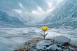 A Beacon of Resilience: A Solitary Flower Blooming in the High Mountains, Symbolizing the Strength and Beauty of Life Amidst Snow and Harsh Conditions