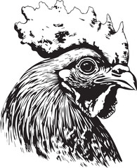 Wall Mural - illustration of head of a rooster