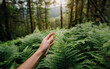 Hand in Nature's Grasp: A hand tenderly holds a leaf amidst lush forests and majestic mountains under a clear blue sky
