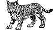 bobcat animals and svg file