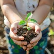seedling plant in children hands.generative ai