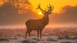 majestic stag silhouette, dense mist, twilight forest, enigmatic, tranquil, cool tones, subtle backlighting, AI Generative
