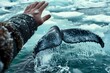
Photo of a man hand touching the icy water, with a massive whale waving its tail beneath a layer of snow.