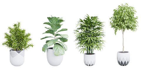 Wall Mural - Plant set in pot isolated on white background 3d rendering PNG
