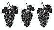 Grapes fruit icon vector  sillouette icon