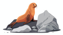Cartoon Sea Lion On The Rock Flat Vector 