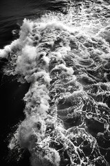 Poster - The image is a black and white photo of a wave crashing into the shore