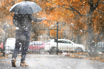 Wall Mural - Autumn park in the first snow