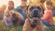 Joyful Family with Playful Boxer Dog Outdoors, Family Fun Time